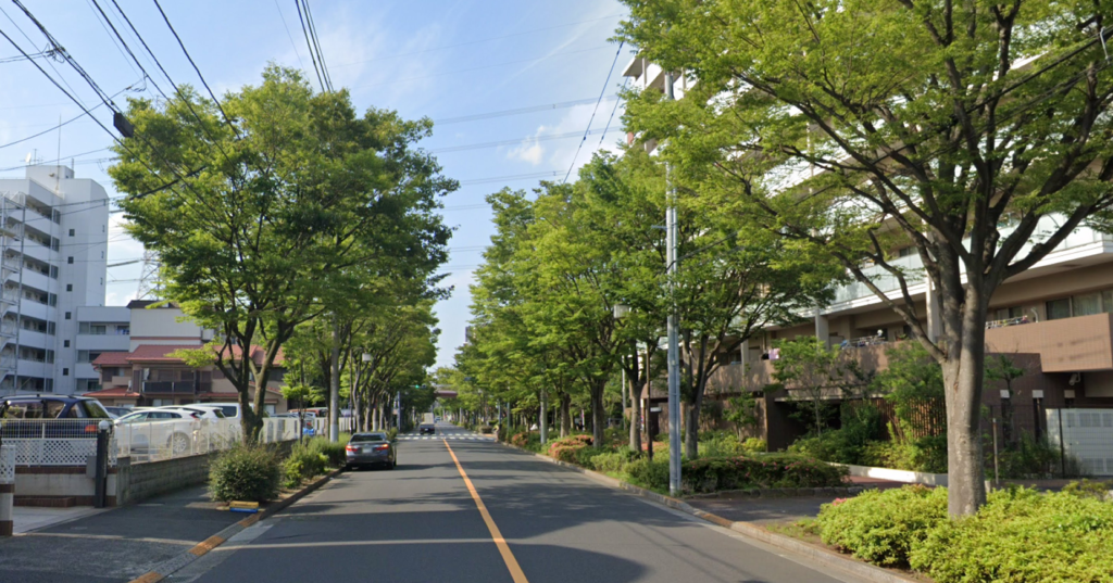 東京都江戸川区_直進